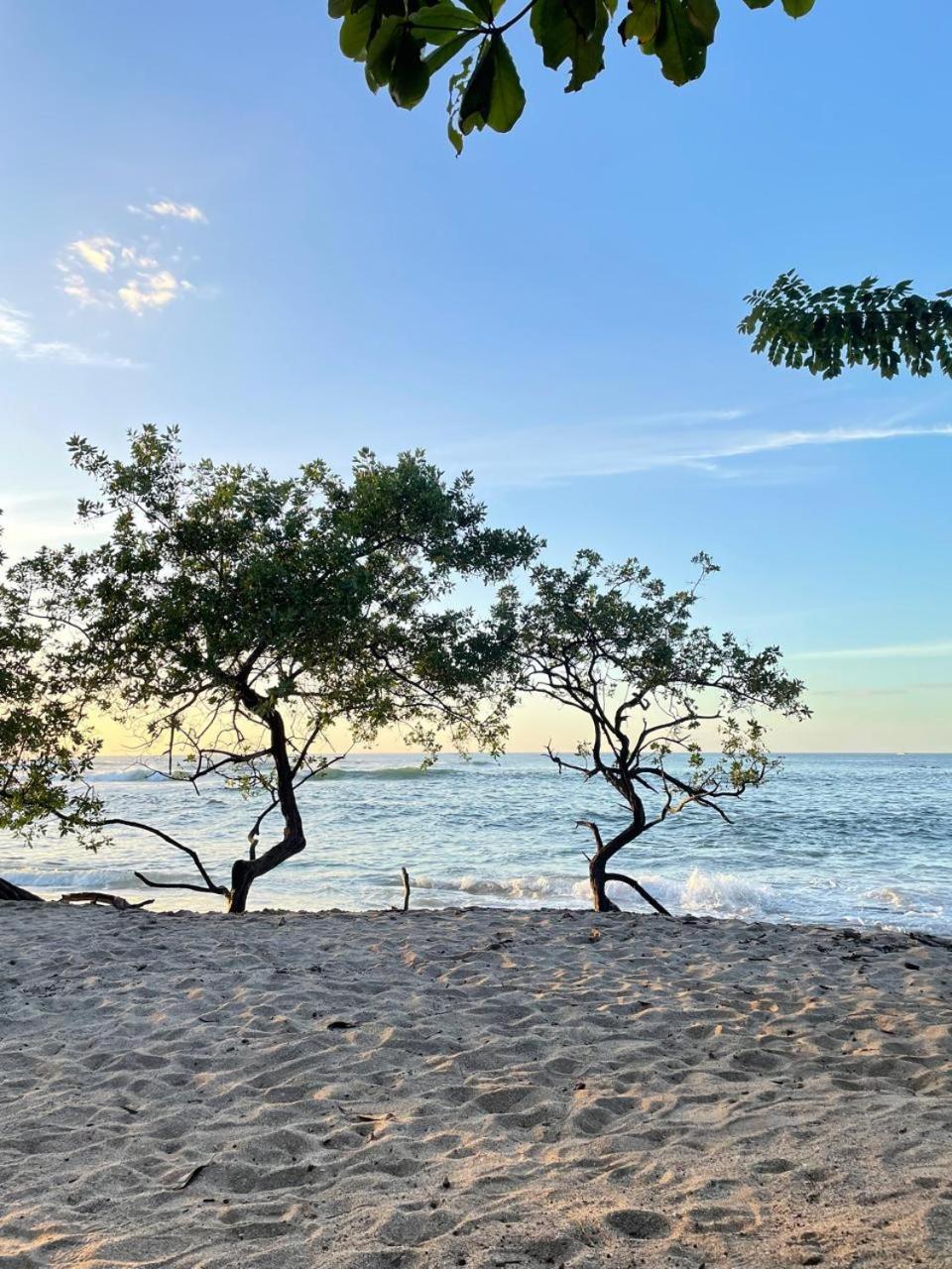 Tamarindo Beach, Prime Location, Fantastic Watersalt Pool & Cold Plunge, Family & Friends Εξωτερικό φωτογραφία