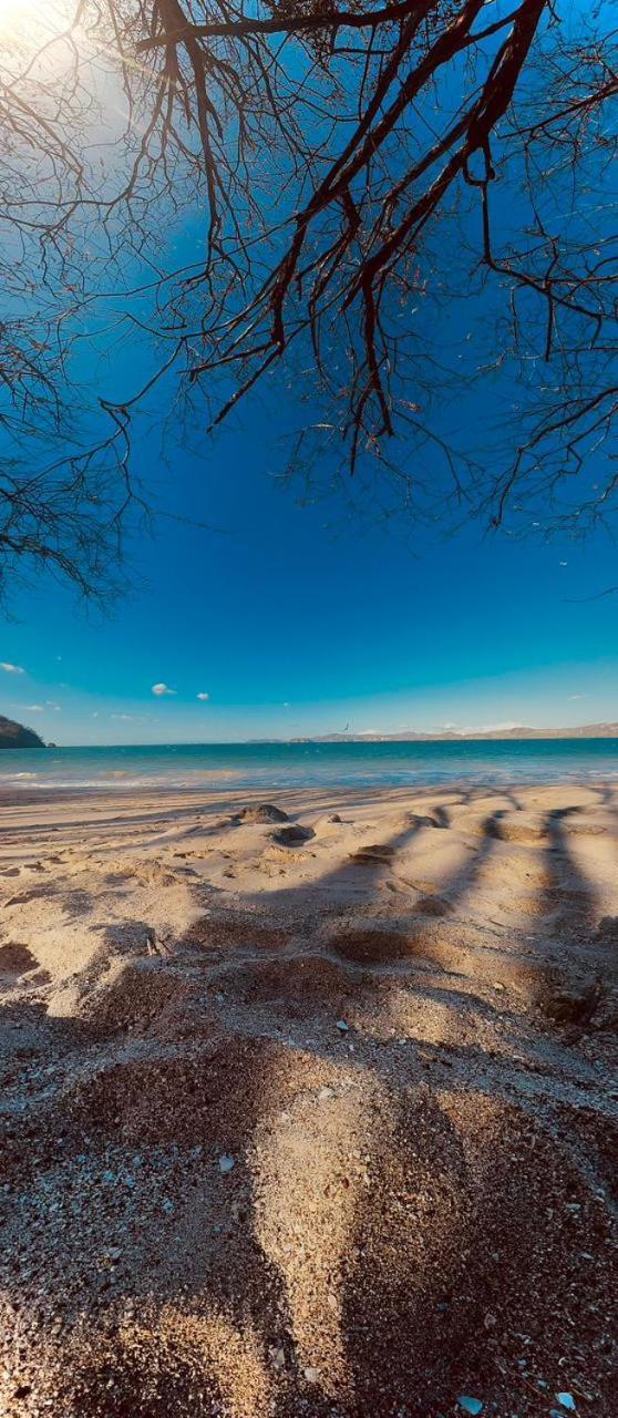 Tamarindo Beach, Prime Location, Fantastic Watersalt Pool & Cold Plunge, Family & Friends Εξωτερικό φωτογραφία